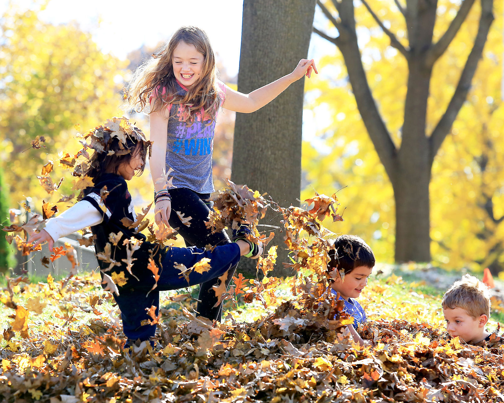 Leaf fun